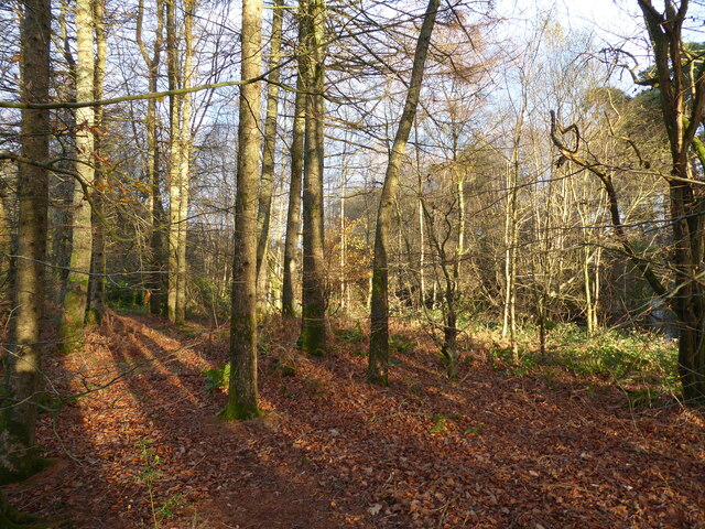 Broughton-in-Furness and Broughton Mills - Photo 5