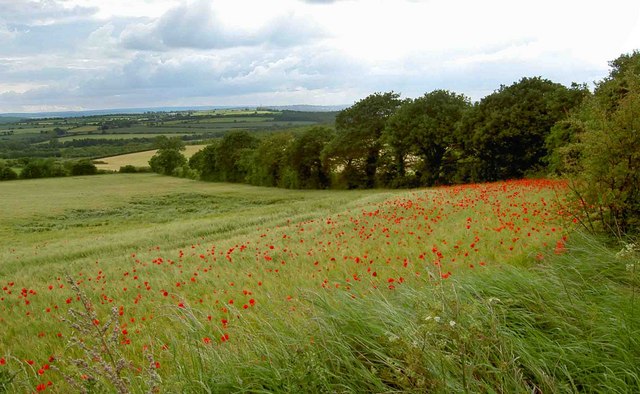 Grimethorpe Loop