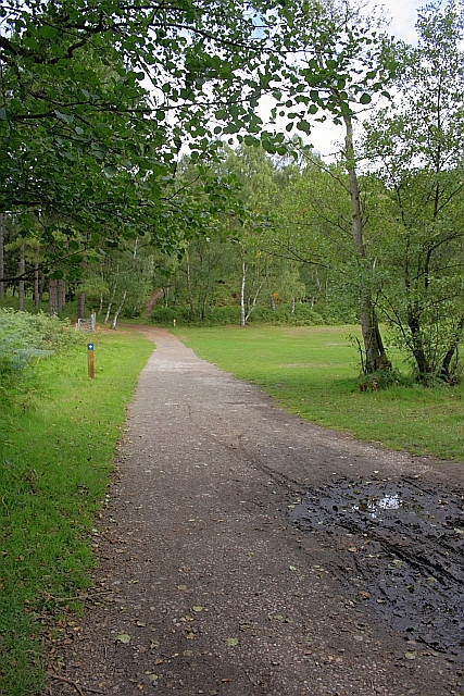 Little Haywood to Cannock chase stepping stones - Photo 3