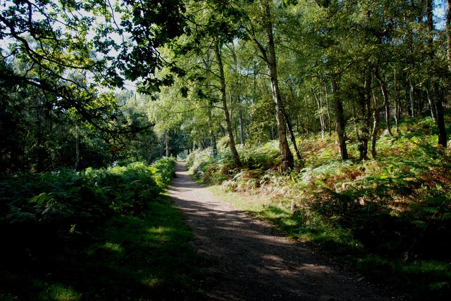 Little Haywood to Cannock chase stepping stones