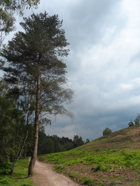 Little Haywood to Cannock chase stepping stones - Photo 5