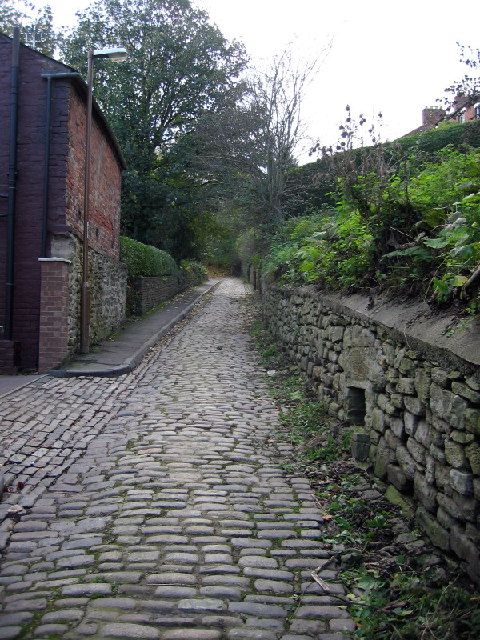 Peninsula & Pelaw Loop running route