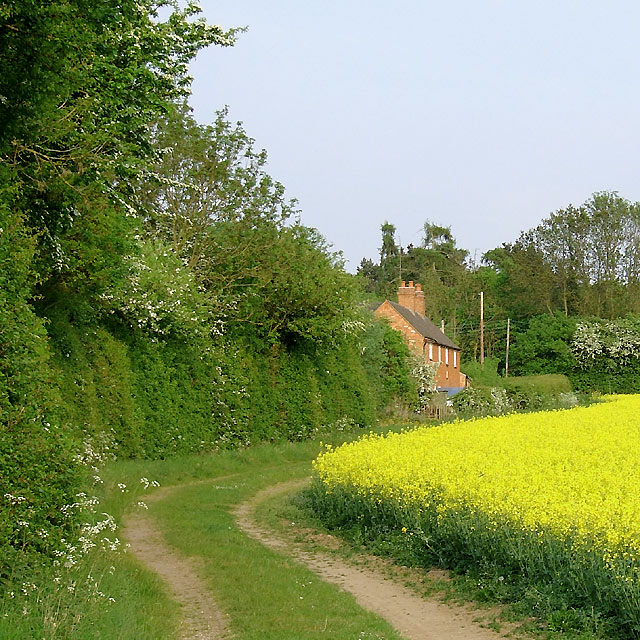 Brewood 5k - Photo 2
