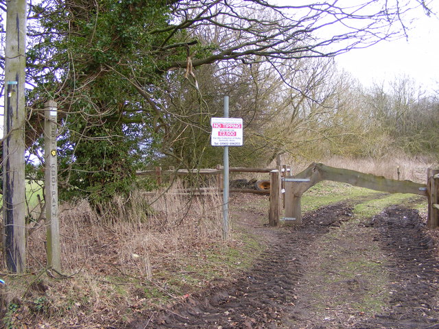 Brewood 5k - Photo 3
