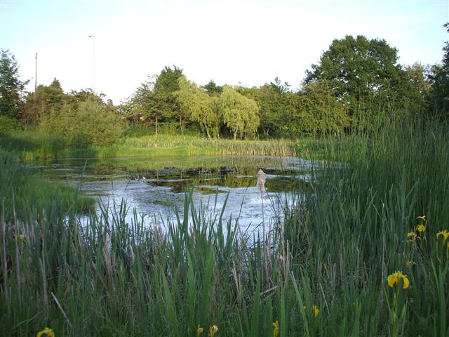 Staple Flat - Photo 3