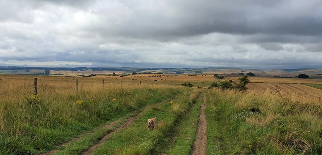 Swindon to Salisbury - Photo 4