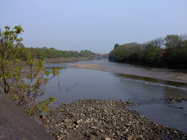 Avenham river loop - Photo 4