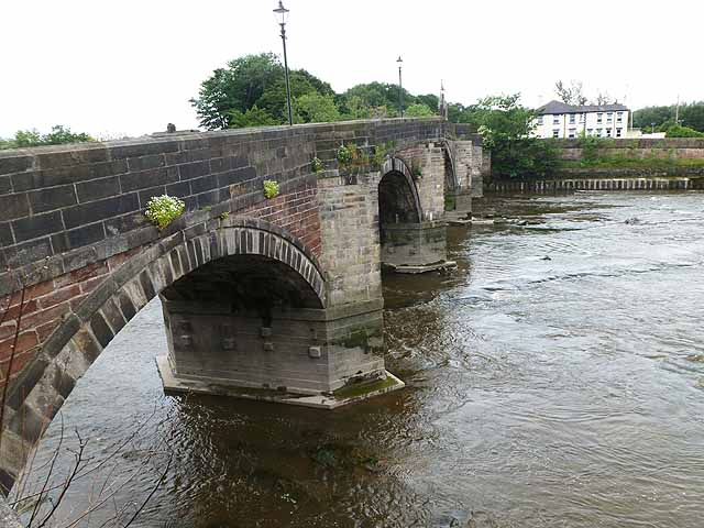 Avenham river loop - Photo 5