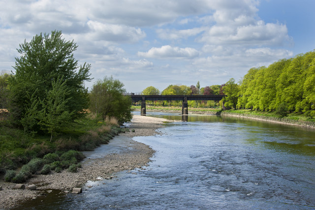 Avenham river loop
