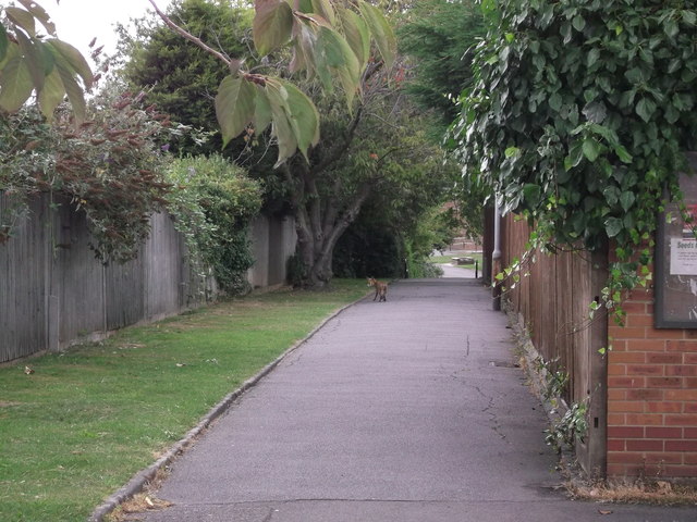 Danson Park 5 running route