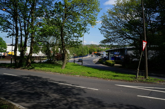 The Woods of Abbeydale - Photo 3