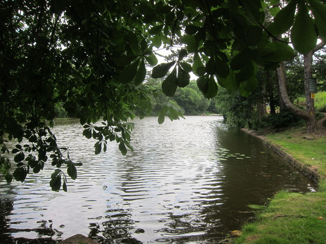 River Avon Trail - Ham to Miles Dock - Photo 4
