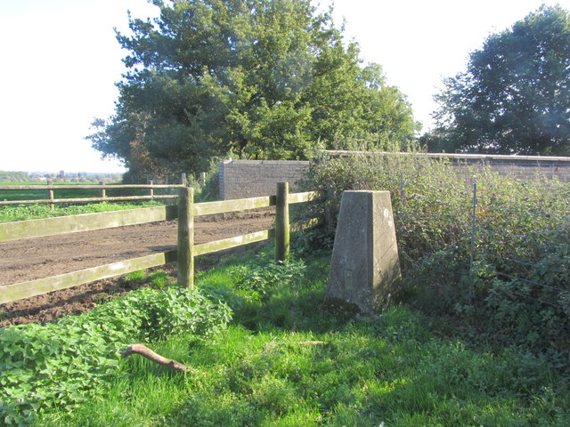 River Avon Trail - Ham to Miles Dock running route