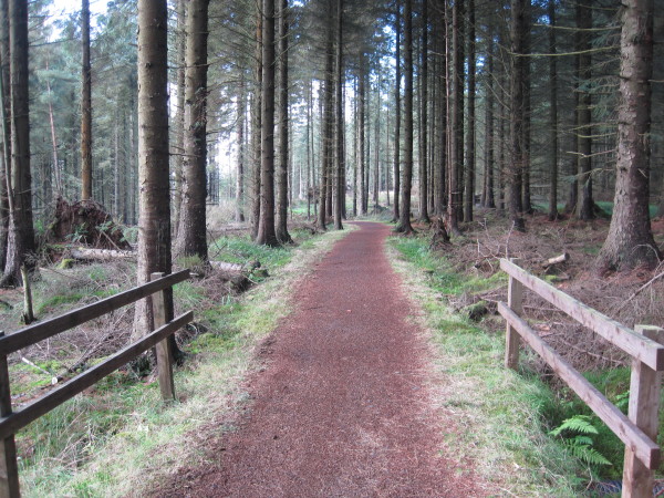 A half marathon run at Kielder Water - Photo 4