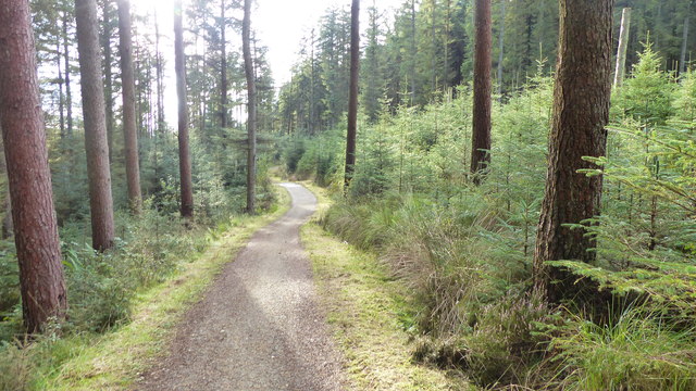 A half marathon run at Kielder Water - Photo 5