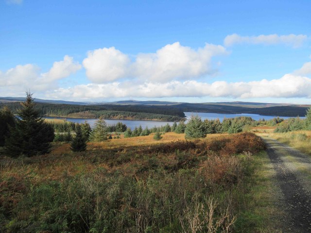 A half marathon run at Kielder Water running route