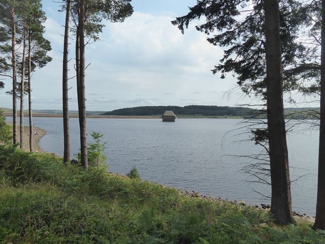 A half marathon run at Kielder Water - Photo 3