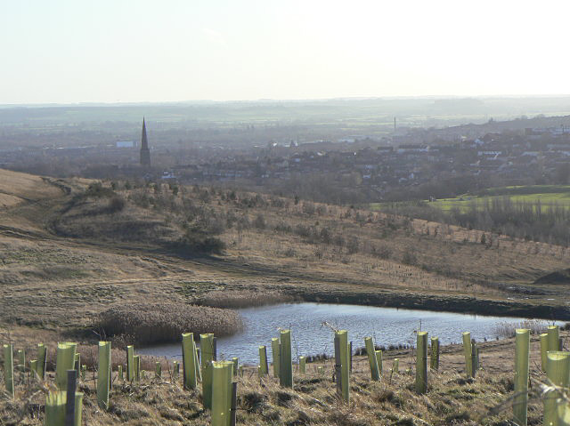 Gedling Country Park - Photo 2