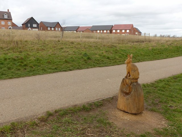 Gedling Country Park - Photo 3