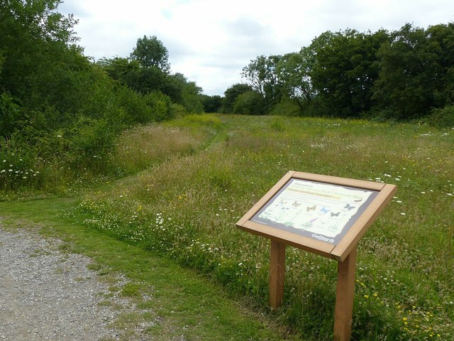 Gedling Country Park - Photo 4