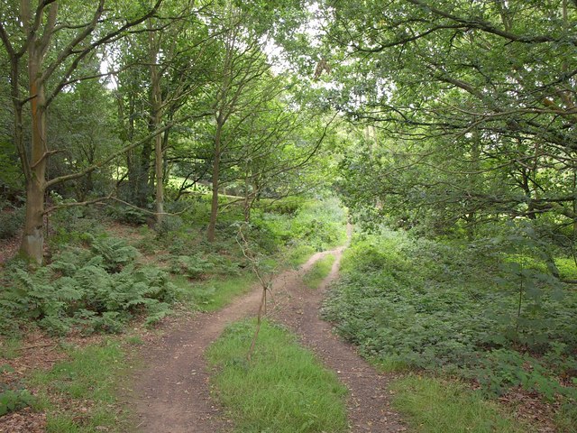 Roundhay Two Lakes Loop - Photo 6