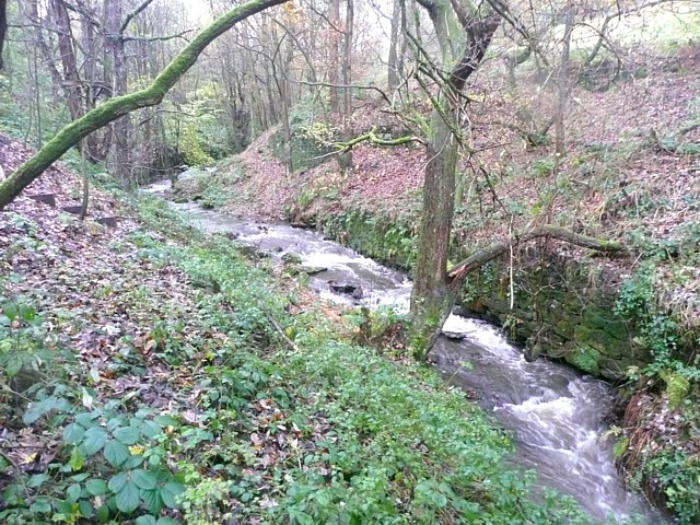 Cinderhills - Wildspur- Cliff - Photo 4