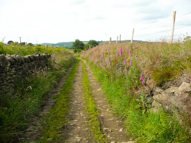 Cinderhills - Wildspur- Cliff - Photo 5
