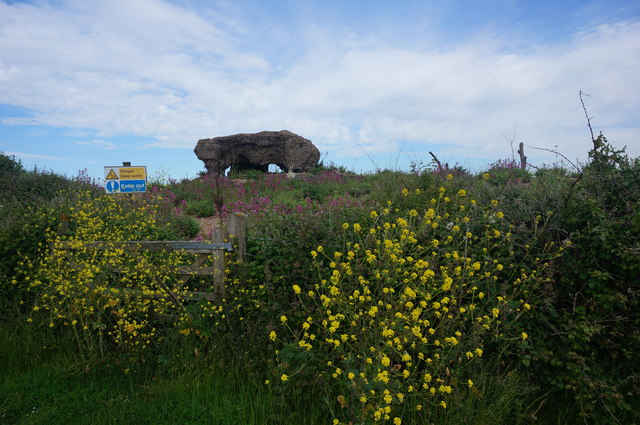 Rye Harbour - Photo 4