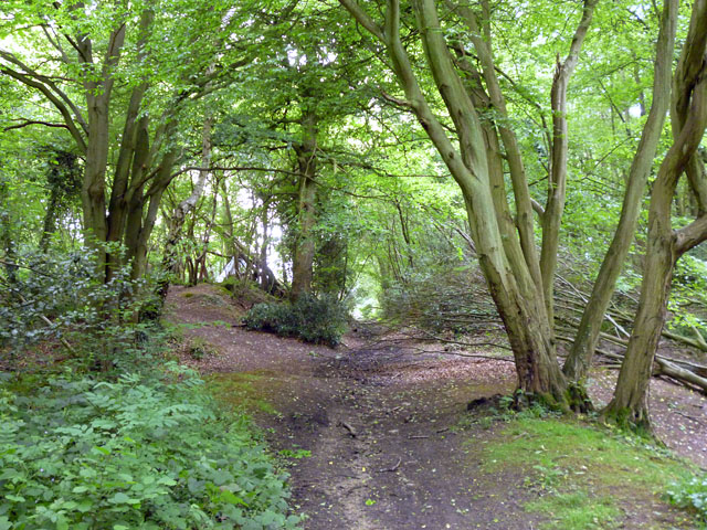 Kings Hill Round - Photo 5