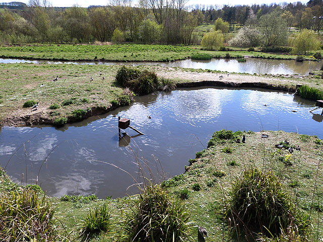 Washington Wetland 10 - Photo 2