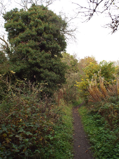Washington Wetland 10 - Photo 4