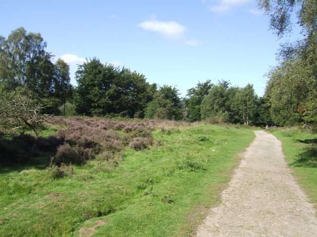 Cannock Chase and The Butts - Photo 3