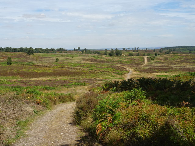 Cannock Chase and The Butts - Photo 5