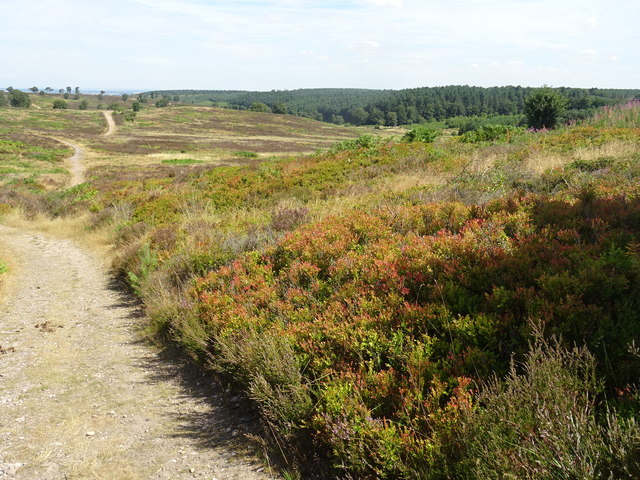 Cannock Chase and The Butts - Photo 4