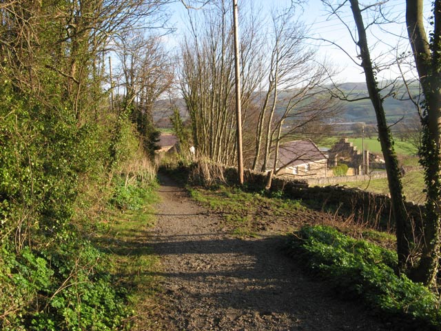 Conwy Woods - Photo 7