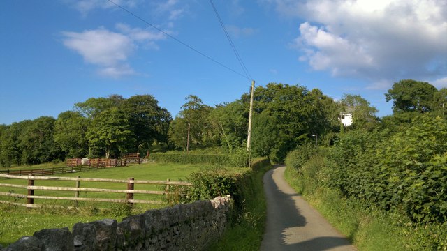 Conwy Woods - Photo 6