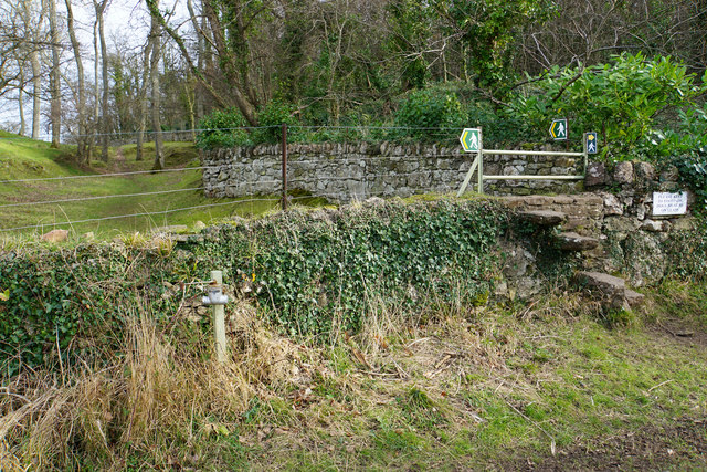 Conwy Woods - Photo 3