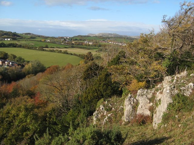 Conwy Woods - Photo 2