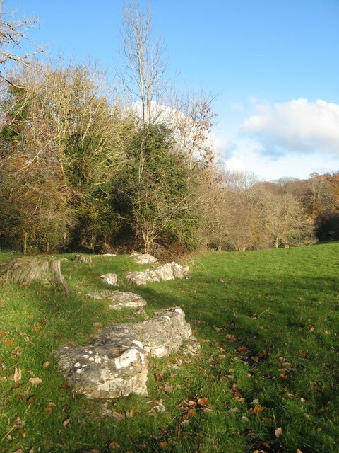 Conwy Woods - Photo 5