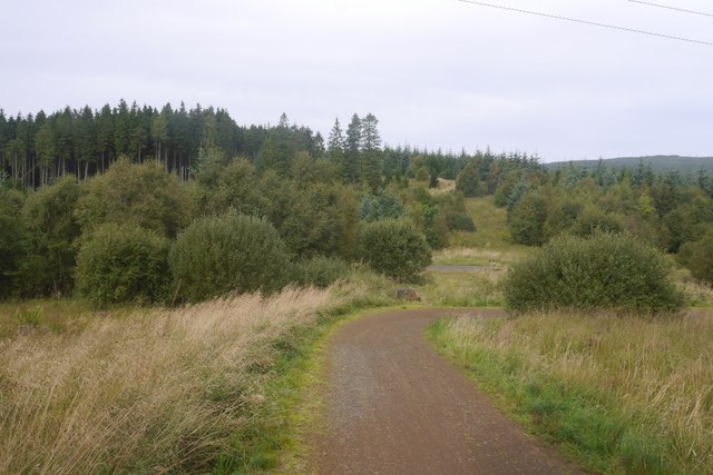 A marathon loop around Kielder Water - Photo 2