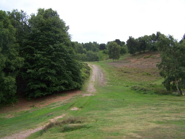 Broc Hill and Brocton Coppice - Photo 3