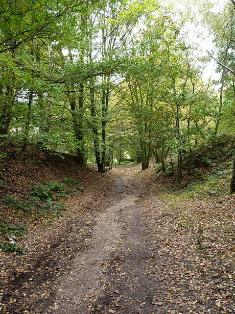 Broc Hill and Brocton Coppice - Photo 2
