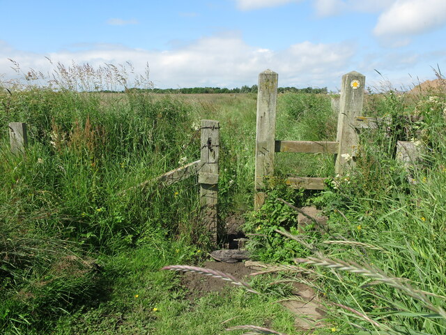 Hauxley Loop - Photo 5