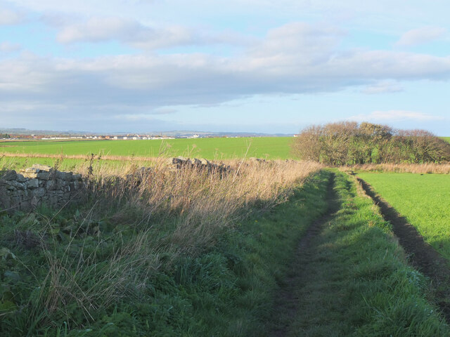 Hauxley Loop