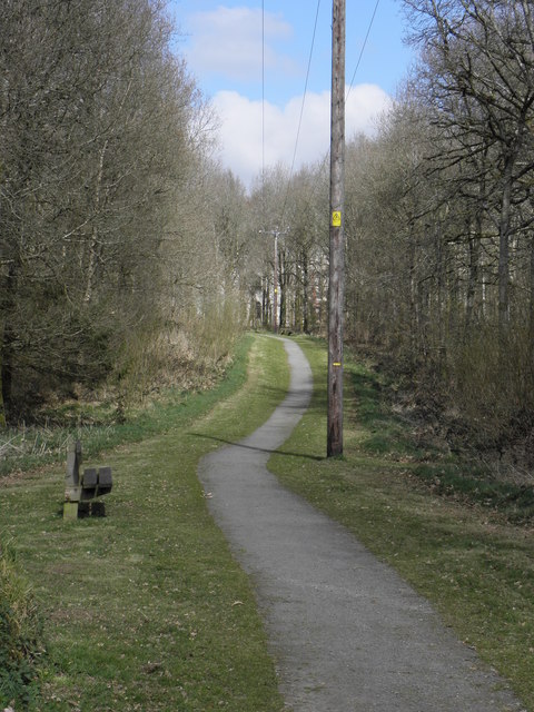 Gosford Forest Park running route