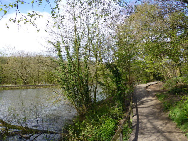 Yarrow Valley Country Park