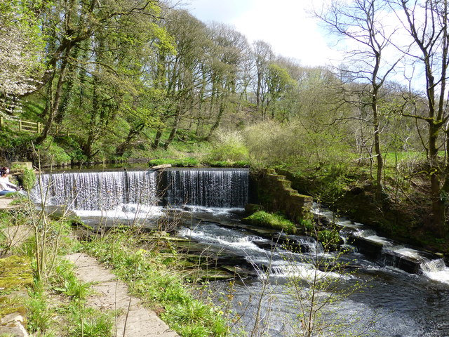 Yarrow Valley Country Park - Photo 2