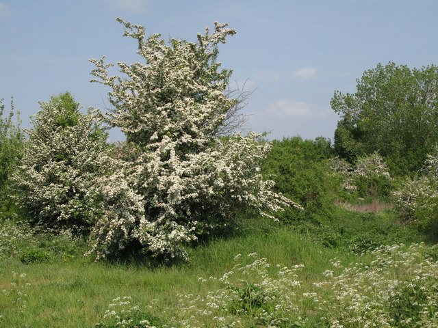 South Norwood Parkrun Course - Photo 2
