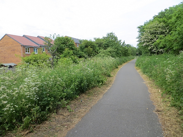 Wheatsheaf to Beamish and Back - Photo 4