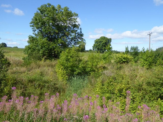 Wheatsheaf to Beamish and Back running route